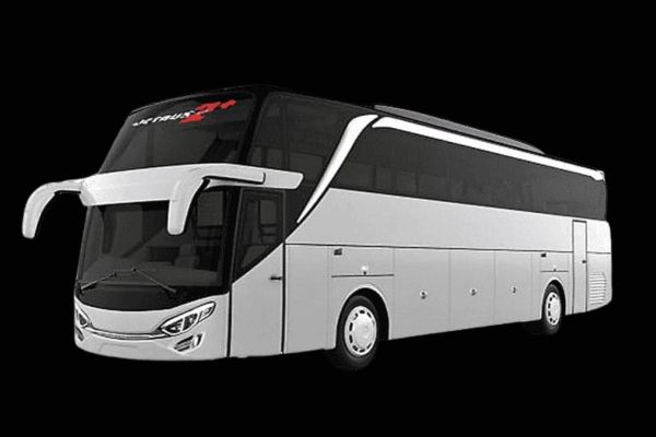 Big Bus 50-59 Seat