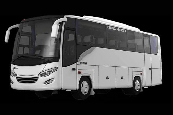 Medium Bus 33 Seat 